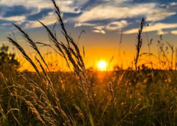 Так буде впродовж 25 червня: синоптики озвучили попередження — Закарпаття