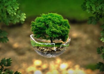 Екологічний податок: що оподатковується та як розраховується –