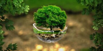 Екологічний податок: що оподатковується та як розраховується –