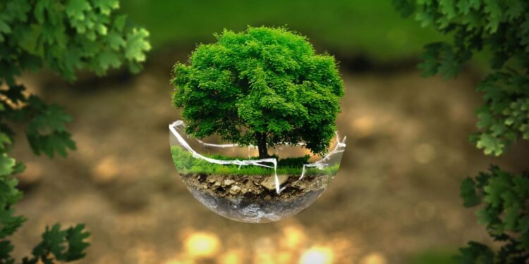 Екологічний податок: що оподатковується та як розраховується –