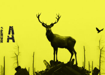 Фільм закарпатця Дмитра Грешка “Дівіа” змагатиметься за Кришталевий глобус