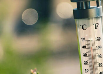 Як допомогти своєму організму пережити спеку: не лише пити воду