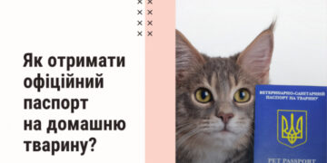 Як отримати офіційний ветеринарний паспорт на домашню тварину?