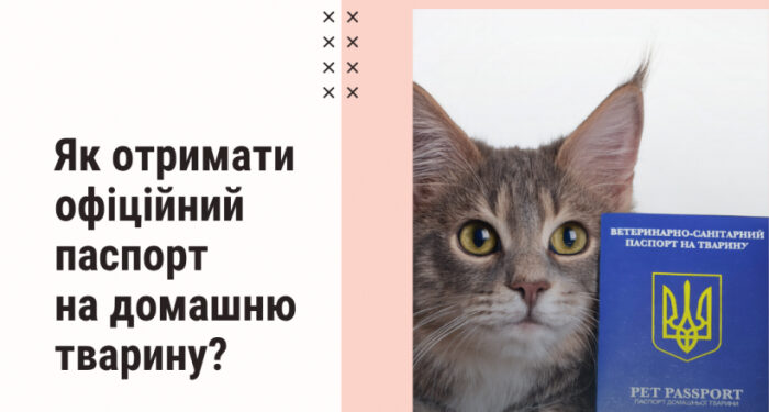 Як отримати офіційний ветеринарний паспорт на домашню тварину?