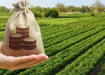 Як отримати пільгу на земельний податок: детальний посібник для фізичних осіб –