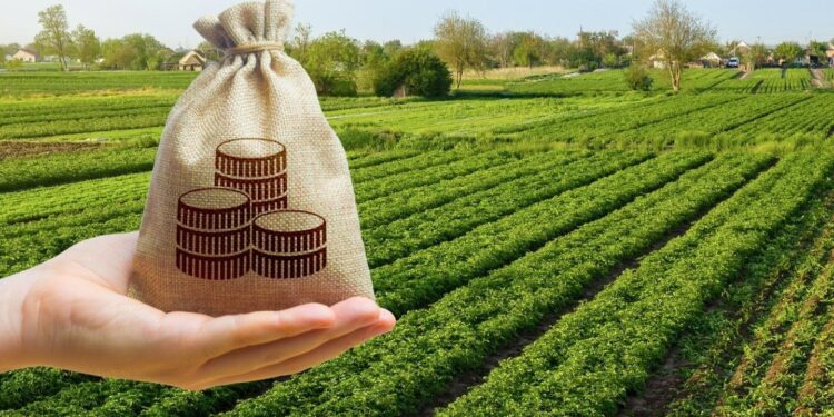 Як отримати пільгу на земельний податок: детальний посібник для фізичних осіб –