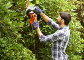 Як вибрати садові електроножиці