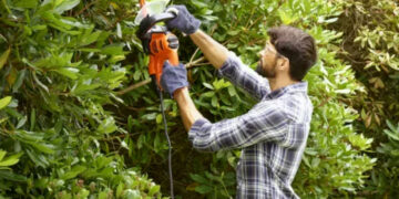 Як вибрати садові електроножиці