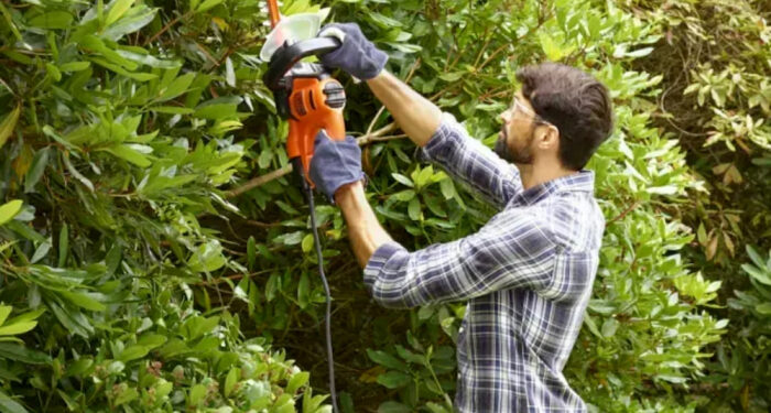 Як вибрати садові електроножиці