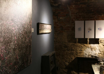 Коли “сірий” – це не “сірість”: в Ужгороді відкрилась незвичайна виставка семи художників (ФОТО) –