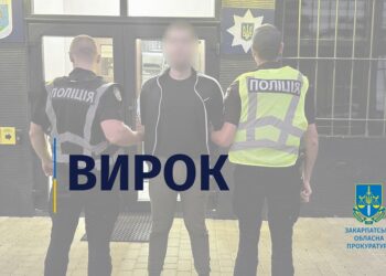 На Берегівщині до 5 років тюрми засудили чоловіка з Серне, котрий у Баркасові тричі вдарив співмешканку ножем в голову (ФОТО)