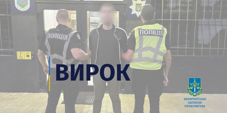 На Берегівщині до 5 років тюрми засудили чоловіка з Серне, котрий у Баркасові тричі вдарив співмешканку ножем в голову (ФОТО)