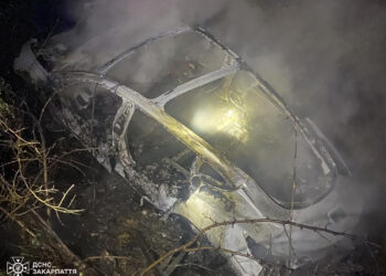 На Хустщині після зіткнення з деревом загорілася Tesla: водій не постраждав –