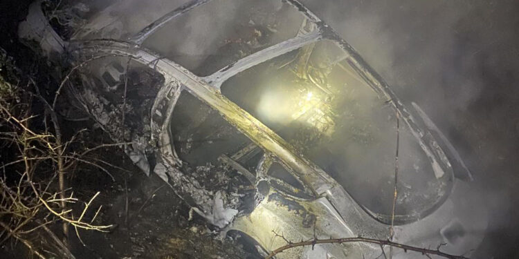 На Хустщині після зіткнення з деревом загорілася Tesla: водій не постраждав –