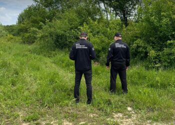 На Закарпатті під неіснуючі сади вкрали близько 80 млн грн державних грантів на розвиток садівництва (ФОТО)