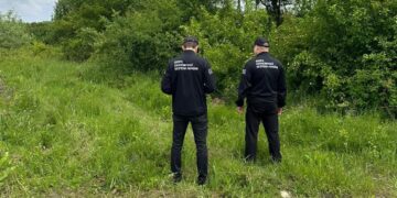 На Закарпатті під неіснуючі сади вкрали близько 80 млн грн державних грантів на розвиток садівництва (ФОТО)