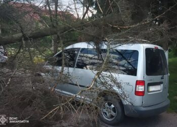 На Закарпатті вітер пошкодив будівлі, повалив дерева та знеструмив села (ФОТО)