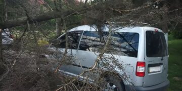 На Закарпатті вітер пошкодив будівлі, повалив дерева та знеструмив села (ФОТО)