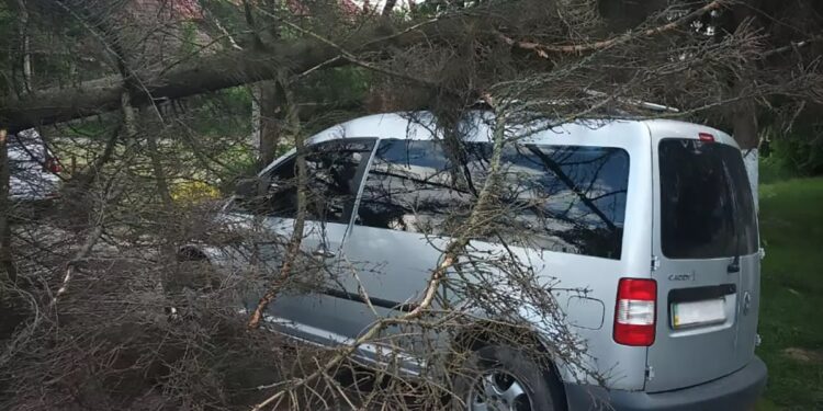 На Закарпатті вітер пошкодив будівлі, повалив дерева та знеструмив села (ФОТО)