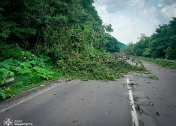 Негода на Закарпатті: вітер знеструмив 18 сіл, пошкоджено десятки будинків (ФОТО) –