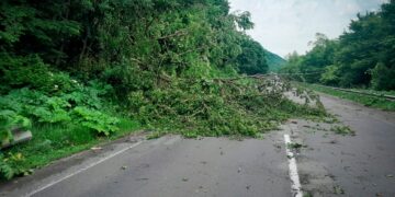 Негода на Закарпатті: вітер знеструмив 18 сіл, пошкоджено десятки будинків (ФОТО) –