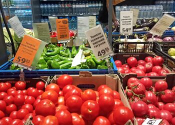 Парадокс цін: в Ужгороді продукти дорожчі, ніж у Європі, попри близькість кордону (ВІДЕО) –