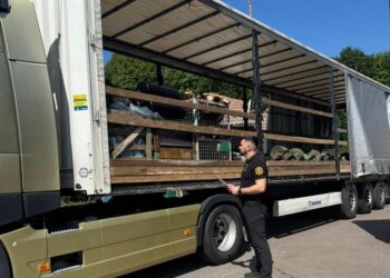 Під виглядом вживаних запчастин генеральний менеджер угорської компанії намагався вивезти у вантажівці нові автодеталі з росії, Білорусі та Китаю (ФОТО)