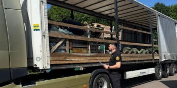 Під виглядом вживаних запчастин генеральний менеджер угорської компанії намагався вивезти у вантажівці нові автодеталі з росії, Білорусі та Китаю (ФОТО)