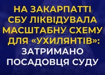 Помічника судді з Виноградова затримали за організацію масштабної схеми для “ухилянтів”
