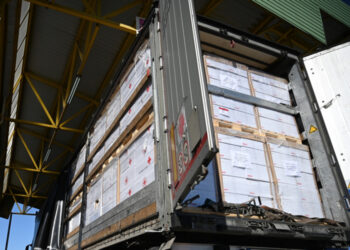 Понад 360 тисяч тонн гуманітарних вантажів оформили Закарпатські митники від початку воєнного стану