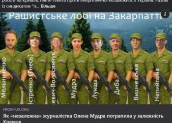 Проти журналістки-розслідувачки із Закарпаття, яка пише про вітряки у горах, знову публікують замовні статті