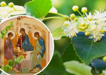 Сьогодні — Свята Трійця: що варто знати про Зелені Свята