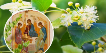 Сьогодні — Свята Трійця: що варто знати про Зелені Свята