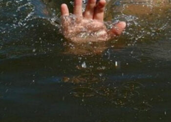 У Бороняві Хустської громади в штучному ставку виявили тіло 83-річного чоловіка