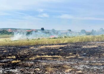 У Дунковиці на Берегівщині жінка з Мукачева загинула під час спалювання сухотрав'я (ФОТО) (РОЗШИРЕНО)