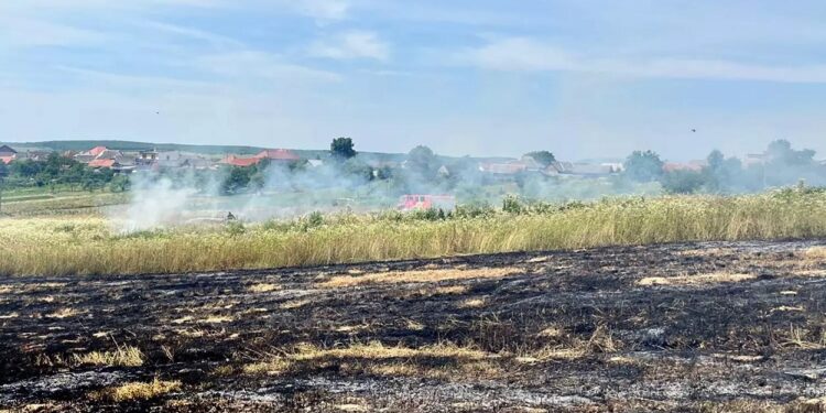 У Дунковиці на Берегівщині жінка з Мукачева загинула під час спалювання сухотрав&apos;я (ФОТО) (РОЗШИРЕНО)