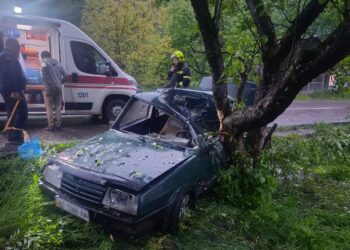 У Квасах на Рахівщині “дев'ятка” з'їхала в кювет і врізалась в дерево, травмувалася дитина (ФОТО)