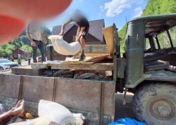 У Лугах на Рахівщині для перевезення “ухилянтів” у кузові вантажівки з худобою облаштували подвійне дно (ФОТО, ВІДЕО)