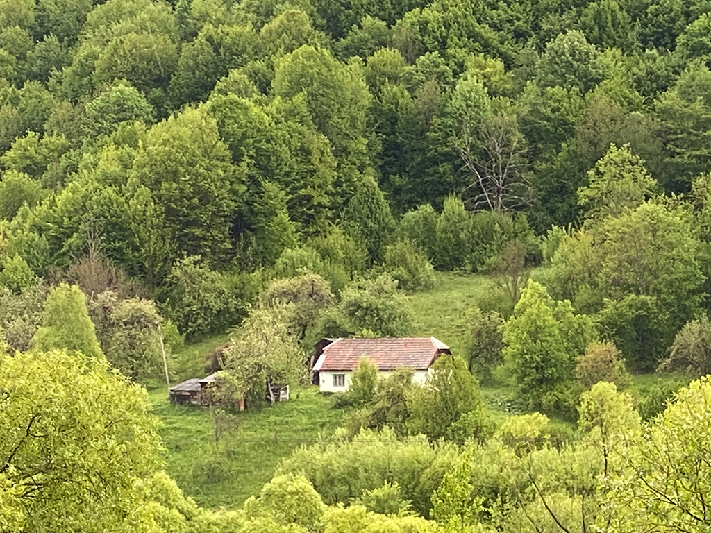Жорнава