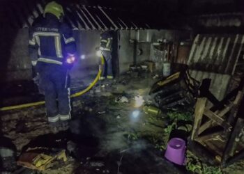 У Великій Копані на Берегівщині вночі врятували будинок, навіс до якого загорівся (ФОТО)