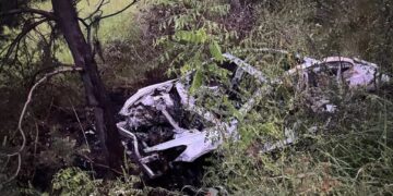 У Вільхівці на Хустщині вночі врізалася у дерево на узбіччі та згоріла Tesla (ФОТО)