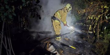 У Виноградові горіли дрова на приватному обійсті (ФОТО)