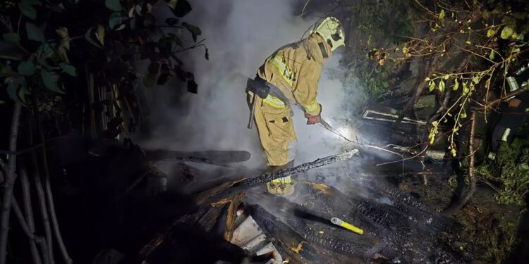 У Виноградові горіли дрова на приватному обійсті (ФОТО)