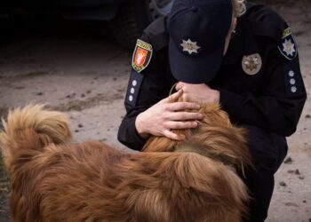 В Україні з початку року відкрили рекордну кількість проваджень щодо жорстокого поводження із тваринами – Opendatabot