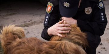 В Україні з початку року відкрили рекордну кількість проваджень щодо жорстокого поводження із тваринами – Opendatabot