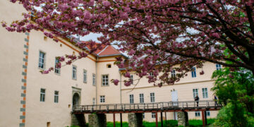 Відомі туристичні локації Закарпаття доступні у форматі аудіогідів