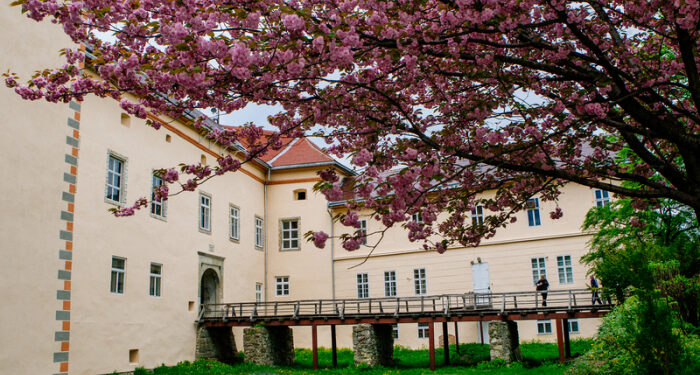 Відомі туристичні локації Закарпаття доступні у форматі аудіогідів