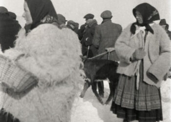 З пензлем і фотоапаратом, або Верховина в об’єктиві художника Андрія Коцки