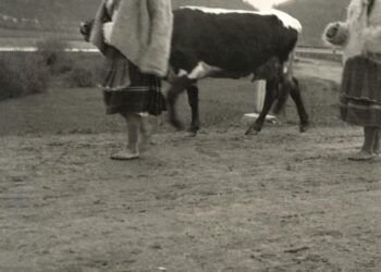 З пензлем і фотоапаратом, або Верховина в об’єктиві художника Андрія Коцки (ФОТО) –