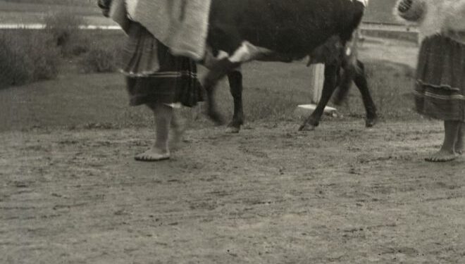 З пензлем і фотоапаратом, або Верховина в об’єктиві художника Андрія Коцки (ФОТО) –